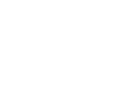 Economie d'énergie pour une aciérie électrique