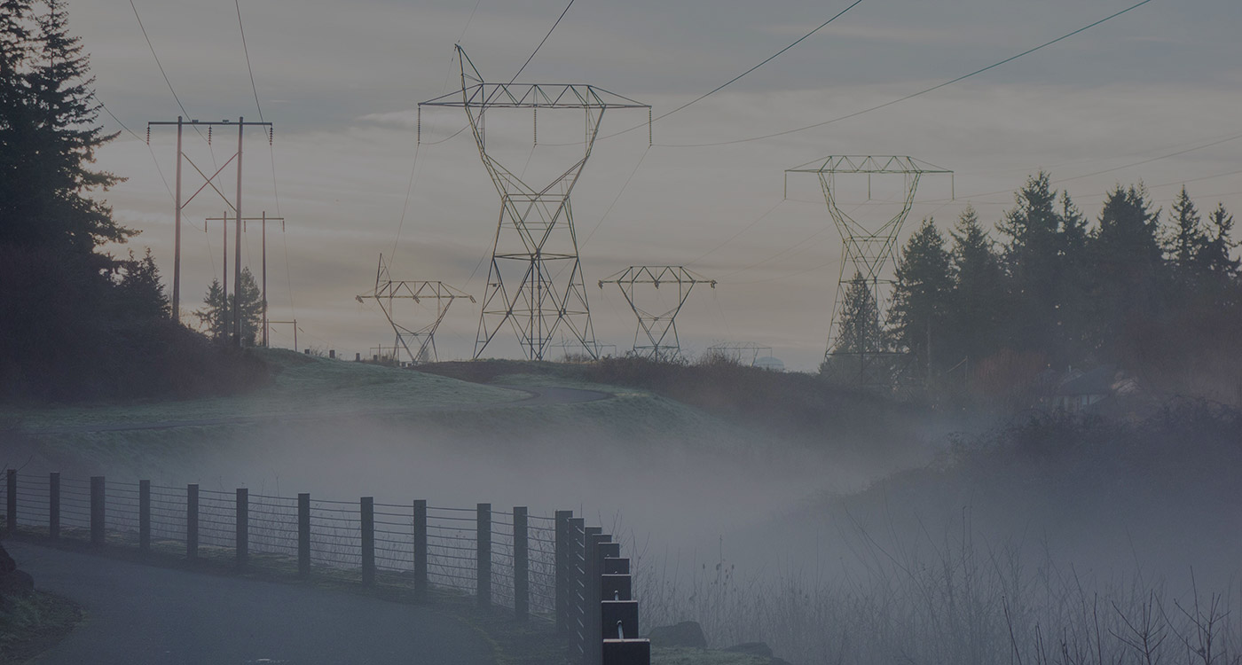 Gestion réseaux electriques